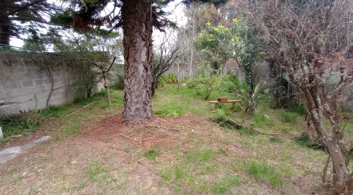 51d85b55-5772-4e46-90ca-24452b08f874