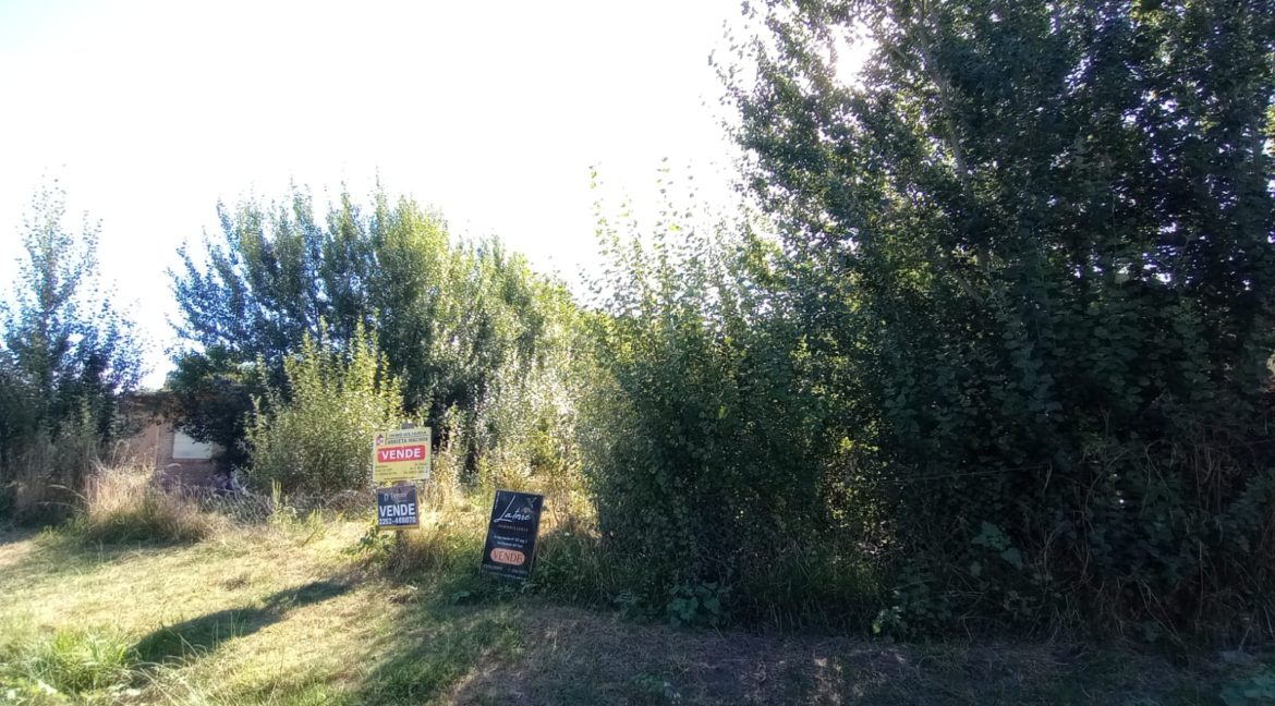 2cf85cf9-55e0-4d92-be28-cebe4f74bcec