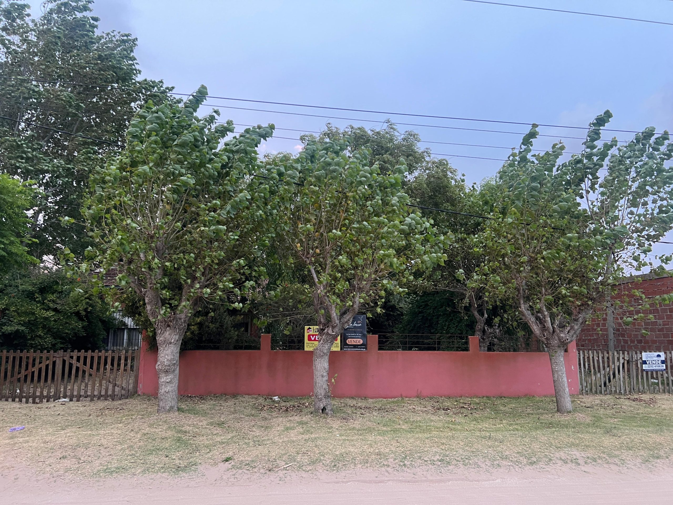 CASA 3 AMBIENTES EN AMPLIO LOTE – VENTA