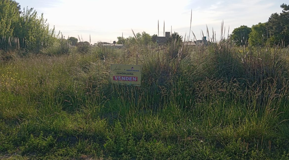 a9255d69-1972-4a8a-8e26-d3e81ea761d8