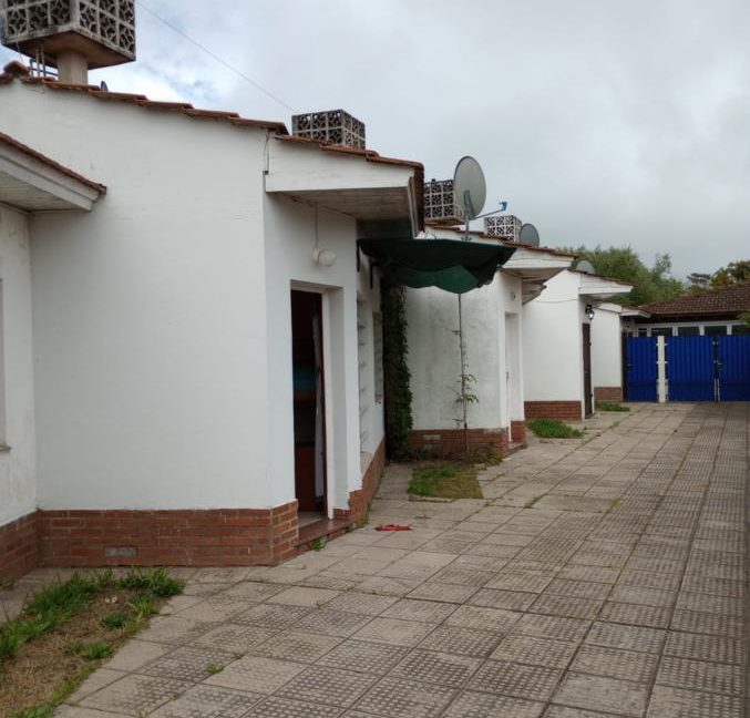 ca2219de-e4c9-4a3a-a3d6-a843f49bd006_677x900