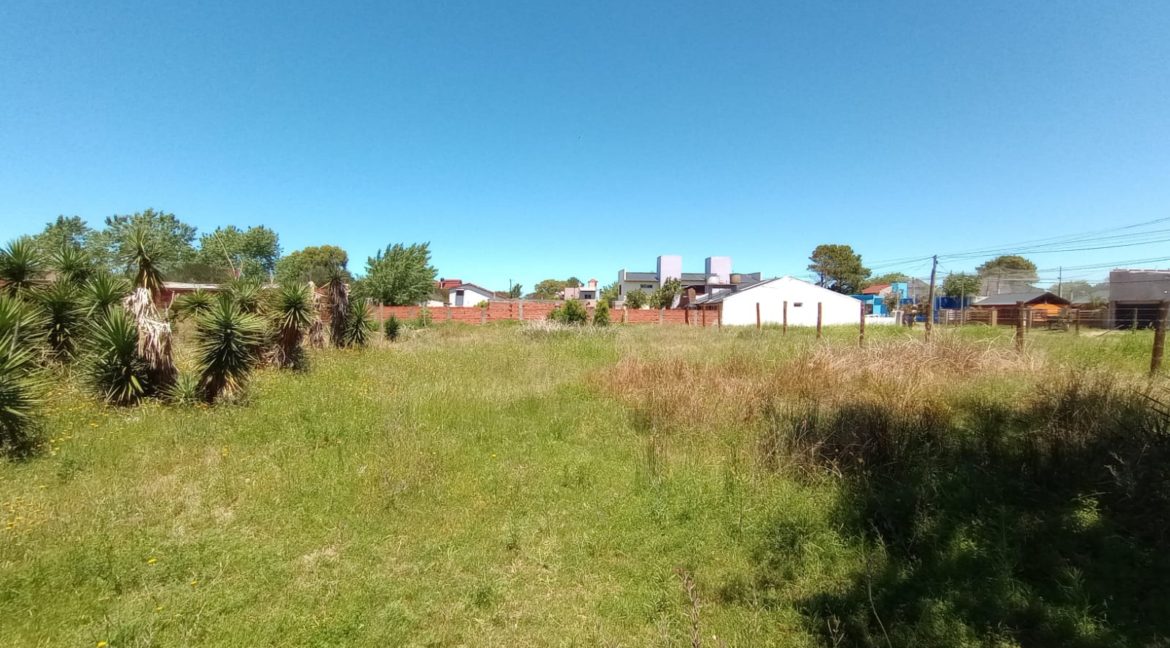 c1edf46e-25ac-4f81-b52a-a2878fc04336