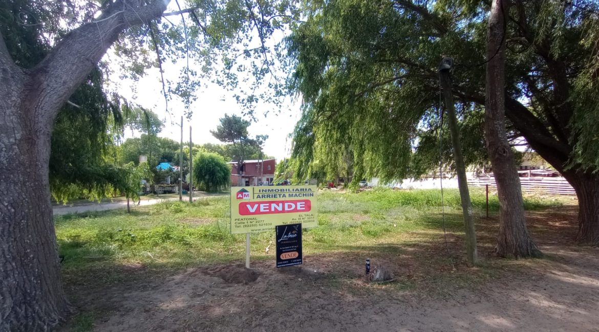 1204445d-1059-4031-91ef-49ce55ccaf92