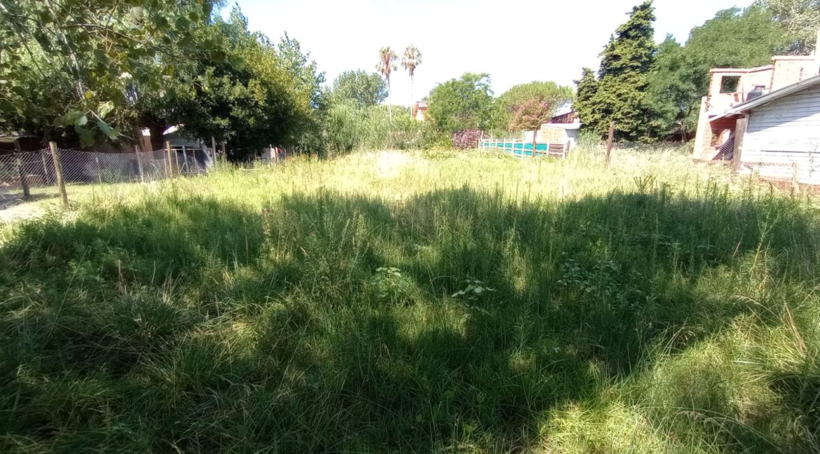 15d6d48c-ec07-4ffc-b962-88334f4126d2