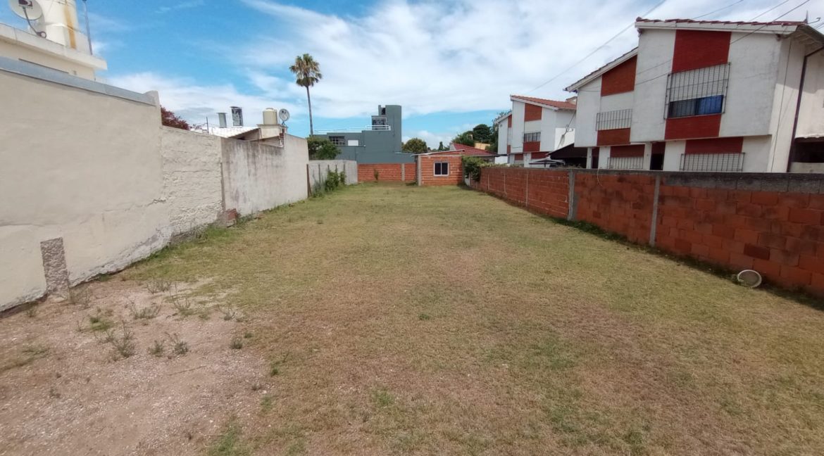 b2127f1b-4b12-4597-8675-1f54b342fac8