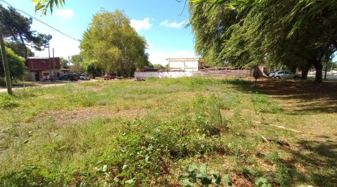 d06d695c-cd07-4133-a064-e92ebac59892