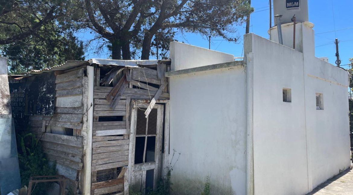 WhatsApp Image 2026-02-02 at 19.43.36 (26)