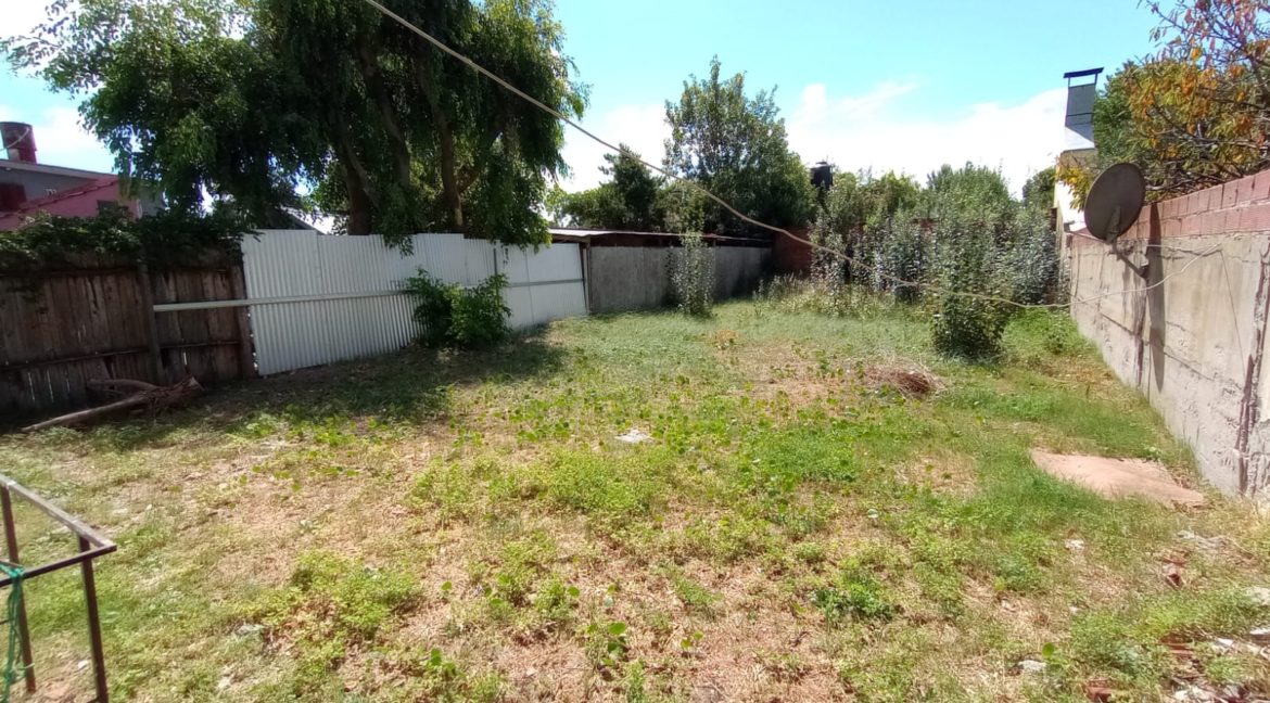 d7ebdff3-2a99-496e-a709-54fe525a5ba6