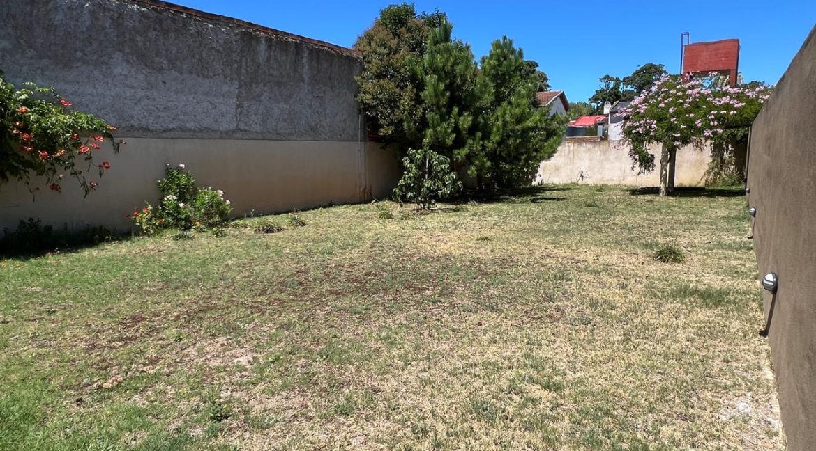 WhatsApp-Image-2026-02-06-at-5.51.32-PM-3